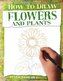 Flowers and Plants