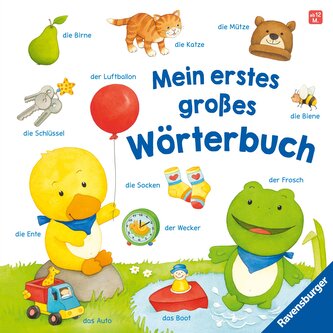 Mein erstes großes Wörterbuch