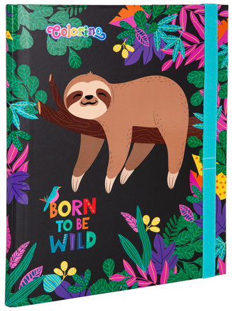 Teczka z gumką przestrzenna kartonowa Wildkid Colorino School, Patio Teczka z gumką przestrzenna kartonowa Wildkid Colorino School, Patio