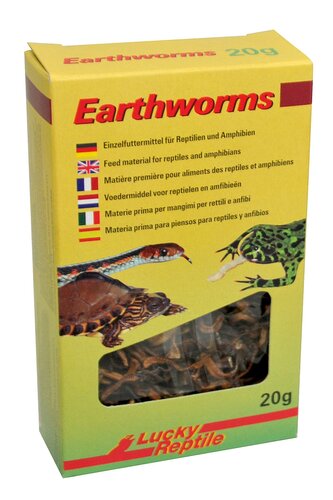 Lucky Reptile Earthworms 10g Lucky Reptile Earthworms 10g