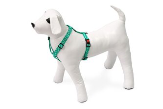 Karlie Postroj ASP Mix&Match zelený motiv Žralok velikost 45-70cm 20mm