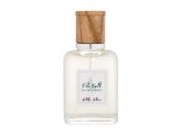 Ralph Lauren Polo Earth Toaletní voda Antilles Vetiver 40 ml unisex