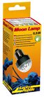 Lucky Reptile Moon Lamp