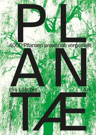 Plantae