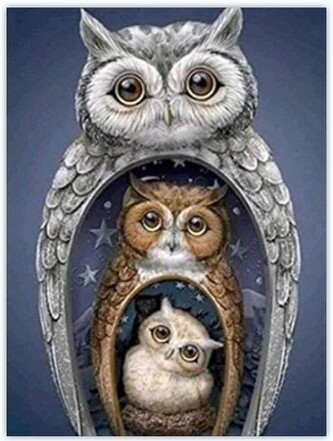Diamantové malování - sova v sově 30 x 40 cm