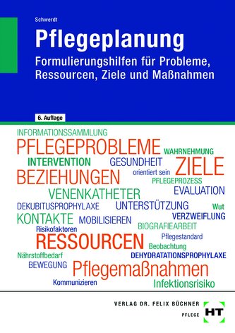 eBook inside: Buch und eBook Pflegeplanung