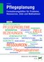 eBook inside: Buch und eBook Pflegeplanung