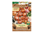Cibule šalotka RED SUN červená karta 250g 22-47mm
