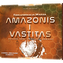 Terraformacja Marsa. Amazonis i Vastitas