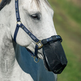 Horze Síťka na nos proti hmyzu Černá Pony