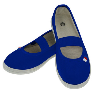 Cvičební obuv JARMILKY, modré, vel.41EU/260mm MP