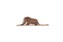 The Little Prince - A Boa Constrictor Digesting An Elephant