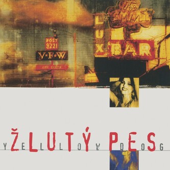 Žlutý pes:  Yellow dog