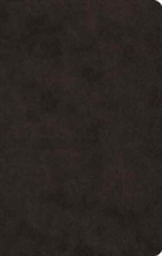 ESV Large Print Value Thinline Bible