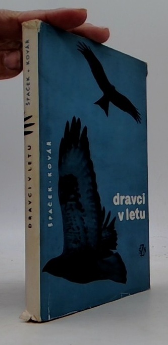 Dravci v letu