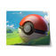 Plakát Pokemon ball Krajina: 60x40 cm