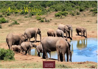 African Wildlife 2026 S 24x35 cm