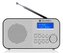 GoGEN GOGDAB300N - Radiopřijímač DAB+ DAB 300 N, stříbrný