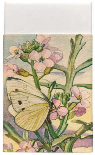 Guma bez potisku Meadow Butterfly