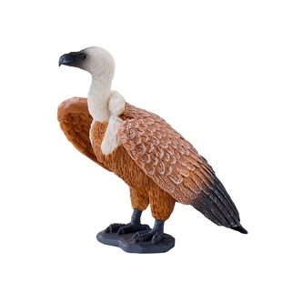 Mojo Sup bělohlavý hnědý