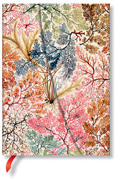 Notes William Kilburn, Anemone Midi w linię, Paperblanks