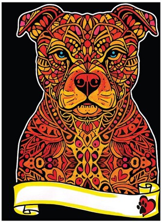 Kolorowanka welwetowa A4 Pitbul, Colorvelvet