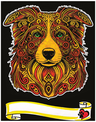 Kolorowanka welwetowa A4 Border Collie, Colorvelvet