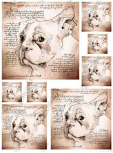 Papier do transferu A3 sepia psy TRA088, Decomania