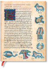 Notes Flexis De Sideribus Tractatus, Astronomica Ultra w linię, Paperblanks