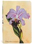 Notes Painted Botanicals Brazilian Orchid Mini gładki, Paperblanks