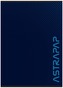 Zeszyt A4 60k kratka 102023019, Astra