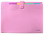Teczka harmonijkowa A4 PP 5 przegródek pastel różowa, Biurfol