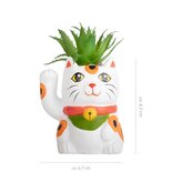 Doniczka w kształcie Kota Szczęścia z rośliną 1 z 3 roślin Lucky Cat, Trendhaus