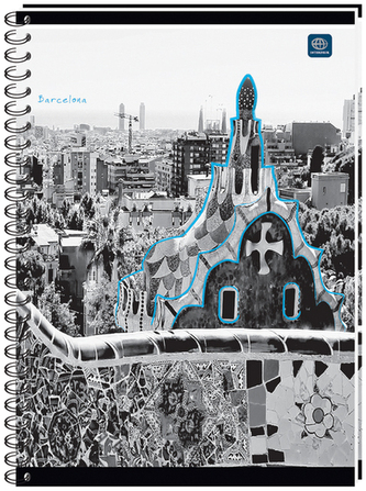 Kołonotes A5 160 k. kratka oprawa miękka, Interdruk