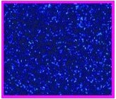 Pianka artystyczna Mikroguma brokatowa 20x30cm op. 5 ark. c. niebieska, Galeria Hobby