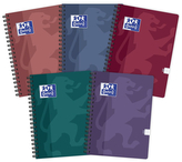 Kołonotes A4 100 k. kratka Touch Trend, Oxford