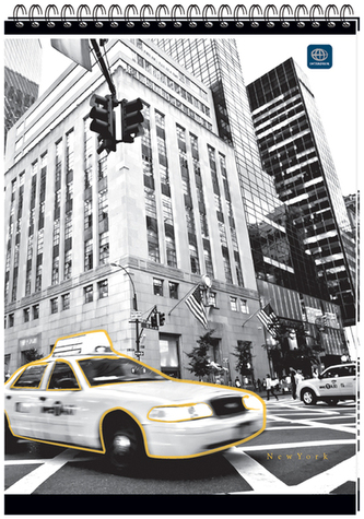 Kołonotes A4 100 k. kratka spirala górna, Interdruk