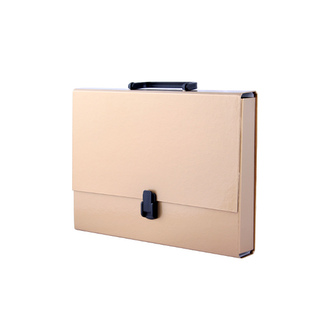 Teczka z rączką A4 złota Tadeo