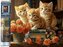 Diamantové malování - 3 kočky 30 x 40 cm