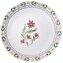 Porcelánový jídelní talíř Boho Floral