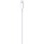 Lightning kabel APPLE USB-C Lightning Cable 2m