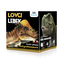 Lovci lebek - Pachycephalosaurus