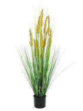 Polní tráva s klasy, 120 cm