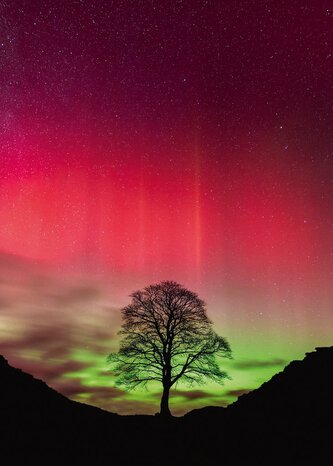 HEYE Puzzle Power of Nature: Sycamore Gap 1000 dílků