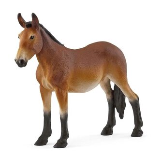 Bahno