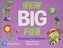 New Big Fun 3 Teacher's Book