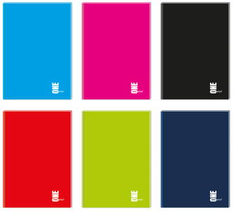 Brulion A4 96 k. kratka kol. One Color, Interdruk