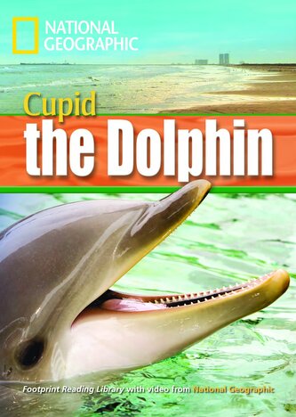 FRL (Level 1600) Cupid the Dolphin