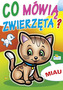 Książeczka harmonijkowa. Co mówią zwierzęta? Kotek 820