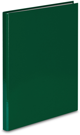 Teczka z miniklipsem A4 FCK ziel., VauPe